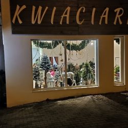 Kwiaciarnia Flower Market (kwiaciarnia Pajo) (Luboń en Merlo San Luis)
