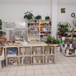 Kwiaciarnia Flower Room (Dębica )