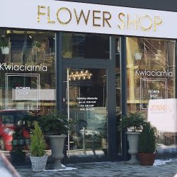 Kwiaciarnia Flower Shop (Toruń )