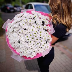 Kwiaciarnia Flowergift.bar (Kędzierzyn-Koźle en Merlo San Luis)