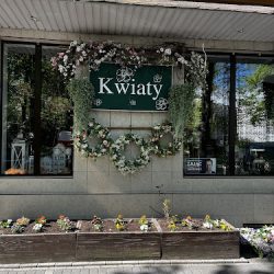 Kwiaciarnia Flower's Feel (Jasło )