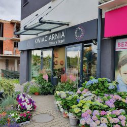 Kwiaciarnia Flowers & People (Rokietnica en Merlo San Luis)