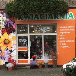 Kwiaciarnia „frezja” (Dąbrowa Górnicza )