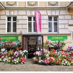 Kwiaciarnia Frezja (Ełk )