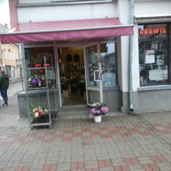 Kwiaciarnia Frezja - F.h.u.p. Mirex Mgr S.m. Mańkowski (Orneta )