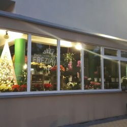 Kwiaciarnia Frezja Poznań (Poznań )