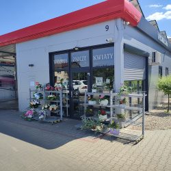 Kwiaciarnia Frezja (Babiak en Merlo San Luis)