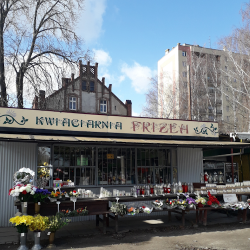 Kwiaciarnia Frizea Jadwiga Marcinkiewicz (Wrocław )