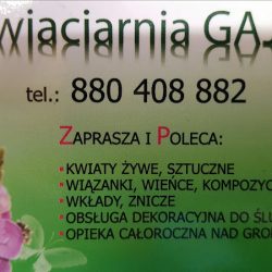 Kwiaciarnia Gaja Handel Kwiatami Zniczami Dewocjonaliami (Wadowice )