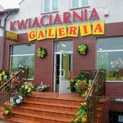 Kwiaciarnia Galeria (Stalowa Wola )