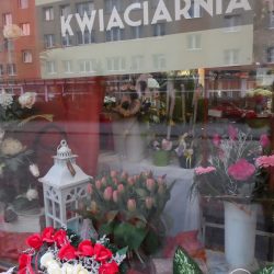 Kwiaciarnia- Galeria Róża. Galeria. (Szprotawa )