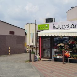 Kwiaciarnia Gardenia (Kłobuck )