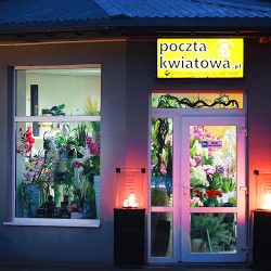 Kwiaciarnia Garrya (Radom )