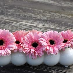 Kwiaciarnia Gerbera Danuta Rubińska (Opatówek en Merlo San Luis)