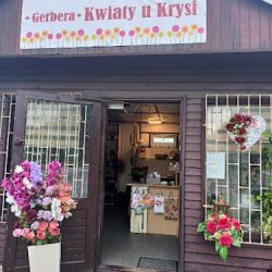 Kwiaciarnia Gerbera | Kwiaty U Krysi (Bielsko-Biała )