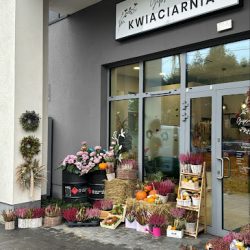 Kwiaciarnia Gipsówka (Rąbień )