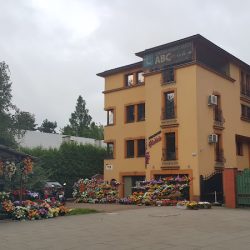 Kwiaciarnia Gladiola (Kraków )