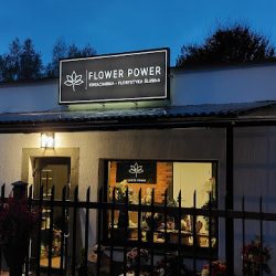 Kwiaciarnia Góra Kalwaria Flower Power (Wólka Załęska )