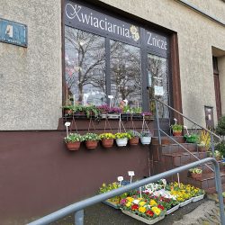 Kwiaciarnia Goździewicz (Gdynia )