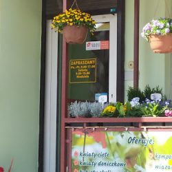Kwiaciarnia Goździk (Ostróda )