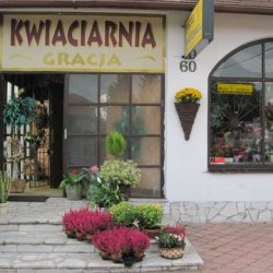 Kwiaciarnia Gracja (Piotrków Trybunalski )