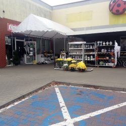 Kwiaciarnia - Grażyna Józefus (Krzyżanowice )