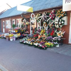 Kwiaciarnia Grażyna Nawrocka (Hrubieszów en Merlo San Luis)