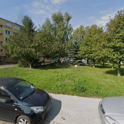 Kwiaciarnia Grześ (Olsztyn )