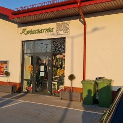 Kwiaciarnia H2o (Mogilno )