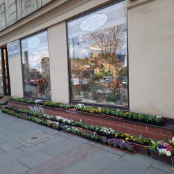 Kwiaciarnia Henryka Momot (Kraków )