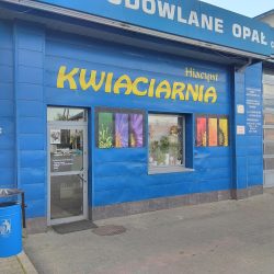 Kwiaciarnia 