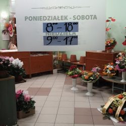 Kwiaciarnia „hibiskus” (Wrocław )