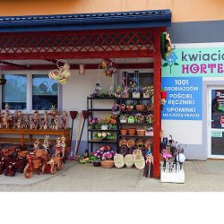 Kwiaciarnia Hortensja (Czarna )