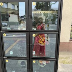 Kwiaciarnia Hortensja (Sieroszewice en Merlo San Luis)