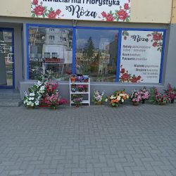 Kwiaciarnia I Florystyka Róża (Wodzisław Śląski )