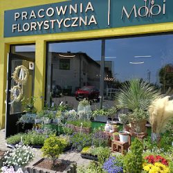 Kwiaciarnia I Kwiatomat Mooi (Kozy )
