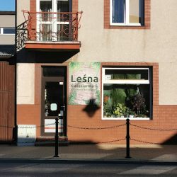 Kwiaciarnia I Pracownia Florystyczna 