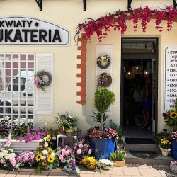 Kwiaciarnia I Rękodzieło Artystyczne Sanok