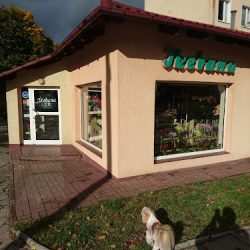 Kwiaciarnia Ikebana (Olsztyn )