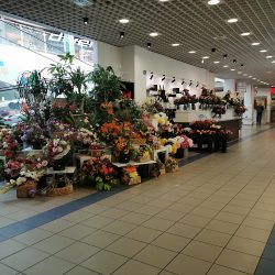 Kwiaciarnia Impresja Kwiaty I Sztuka (Lublin )
