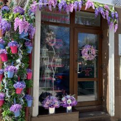 Kwiaciarnia Inessa - Stalowa Wola / Rynek Rozwadów, Kwiaty, Wiązanki, Bukiety, Flowerboxy (Stalowa Wola )
