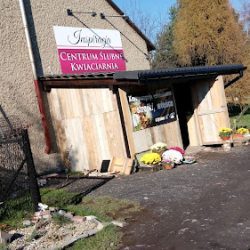 Kwiaciarnia Inspiracja- Centrum Florystyczne Radlin (Radlin )