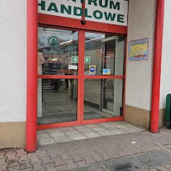 Kwiaciarnia Internetowa Rosarium Wrocław (Wrocław )