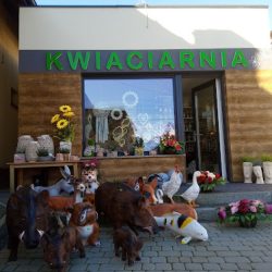Kwiaciarnia Irena Kranz (Szonowice )