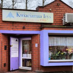 Kwiaciarnia Irys (Będzin )