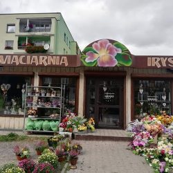 Kwiaciarnia Irys (Pyskowice )