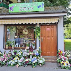 Kwiaciarnia Irys (Inowrocław )