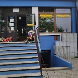 Kwiaciarnia Iwona Pietrzak (Bychawa en Merlo San Luis)