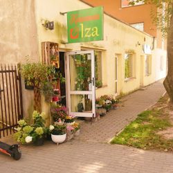 Kwiaciarnia Iza (Ełk )