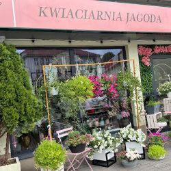 Kwiaciarnia Jagoda (Kalisz en Merlo San Luis)